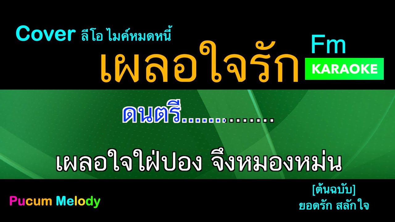 เผลอใจรัก คาราโอเกะ