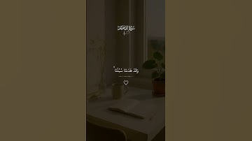 أكتب📝 شيء تؤجر عليه #قران #قران_كريم #quran #اكسبلور #فارس_عباد #تلاوة_خاشعة #Karim_Quran_1