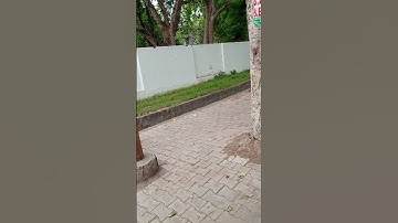 centre distance of education|❤️ Aligarh Muslim University| #amu #shorts #youtubeshorts #viral