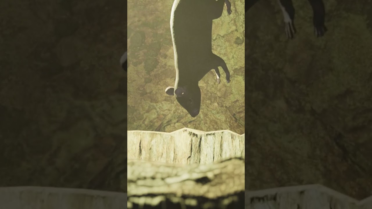 Сделали суп из мышки! 