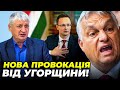 ❗️НЕБЕЗПЕЧНИЙ НАТЯК СІЯРТО НЕ ВСІ ЗРОЗУМІЛИ! Угорщина розпочала ШАНТАЖ, Орбан залякує Україну/ ТОМПА