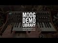 Subsequent 37 | How to Play the Filter as a Sine Wave Oscillator