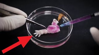 Top 7 Futuristic Inventions and Emerging TECHNOLOGY that will CHANGE our World