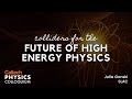 Colliders for the future of high energy physics  julia gonski