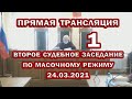 24.03.2021 в 08-30 мск. Прямая трансляция из зала суда.