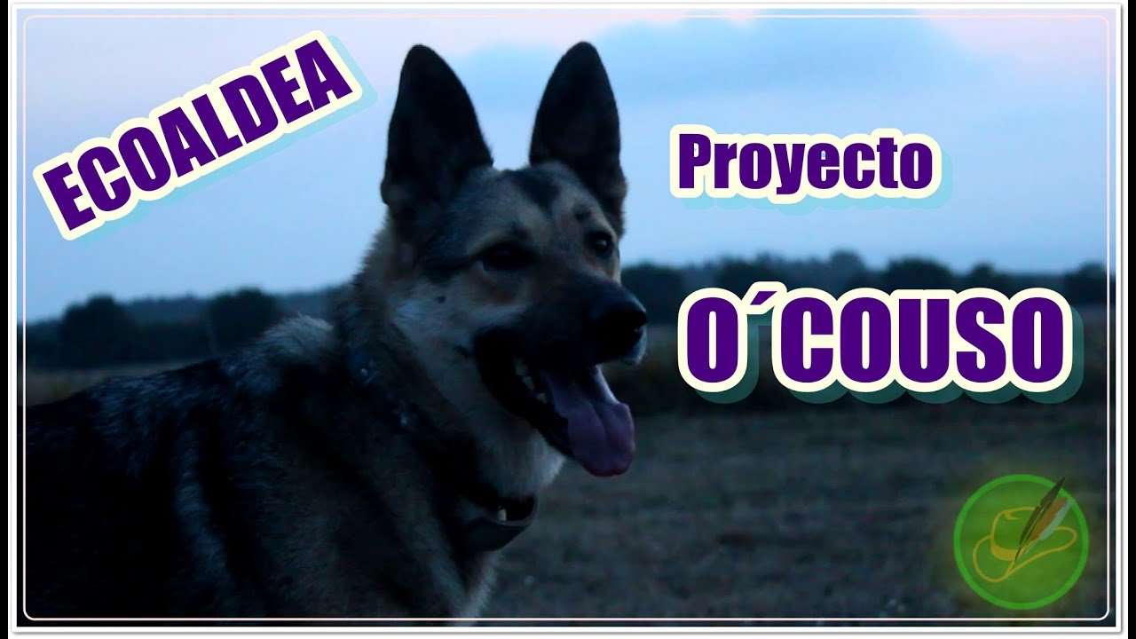 Proyecto O´Couso (Primera Visita Integral)