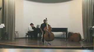 Fantasia La Sonnambula