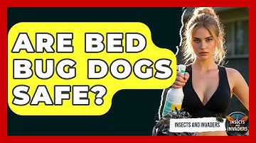 Are Bed Bug Dogs Safe? - Insects and Invaders