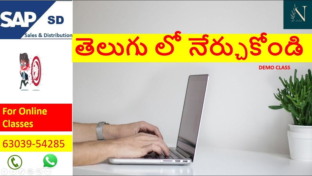 SAP SD classes in Telugu