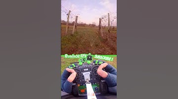 Hold the LINE or screw up the WINE! 🍇🍷 #drone #fpv #fpvfreestyle #cinematic #shorts #youtubeshorts