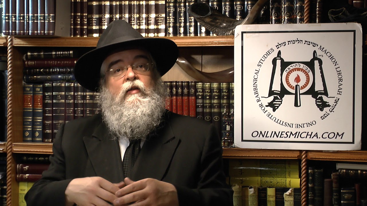 Are all eggs kosher YouTube