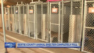 Bertie County Animal Shelter issues 'Code Red' alert on shelter capacity