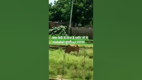 mungari Naini prayagraj Allahabad mein plot 1400 sf DPC PROPERTY REAL ESTATE 🎯 YOUTUBE channel