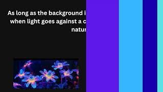 Light Experiment. Turn Phone Sideways