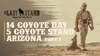 14 Coyote Day and a 5 Coyote Stand  Arizona Part I