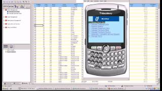 MicroView FM / Web Central Room Management using BlackBerry