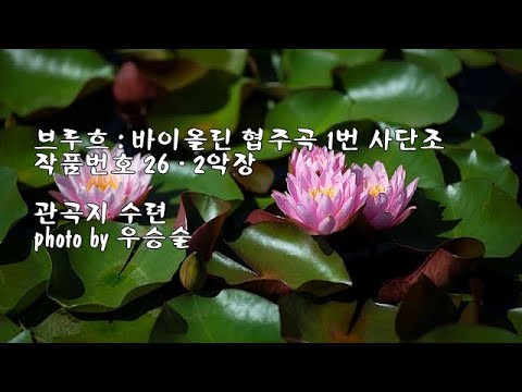 브루흐 : 바이올린 협주곡 1번 사단조 작품번호 26 - 2악장 &amp;amp; photo by 우승술