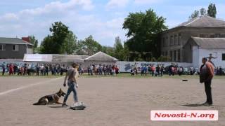 Видео Новости-N: В Николаеве проходит выставка собак