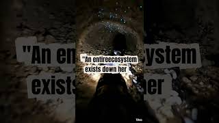 A hidden ecosystem exists deep underground… and almost no one knows about it. #DeepBelow #Pov