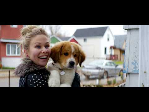 BAILEY – EIN