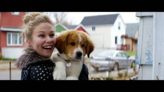 BAILEY – EIN FREUND FÜRS LEBEN - Spot 1
