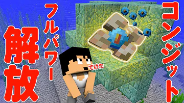 コンジットマイクラ コンジットマイクラ