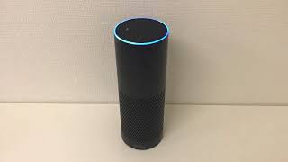 「SOMPO」編 ～Amazon Echoの全Alexaスキル調査PJ～