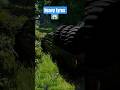 Ford biggest truck modified heavy tyres load dangerous road BeamngDrive