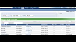 Networkfleet On-Demand Tutorial:  Fleet Vehicle Lists