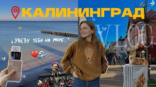 картинка: VLOG: улетели в КАЛИНИНГРАД БЕСПЛАТНО! // осень, море, Зеленоградск и перезагрузка 🌊🍁