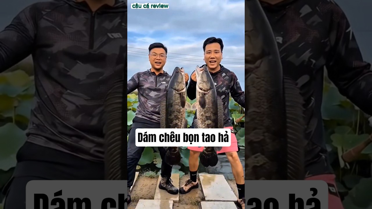 câu 2 con cá sộp khinh thường người #fishing #cauca