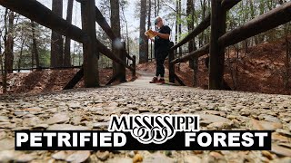 Mississippi Petrified Forest | Inexpensive Hidden Treasure In The Magnolia State