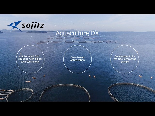 DX Initiatives: Data-Based Optimization to Improve Tuna Farming Operations