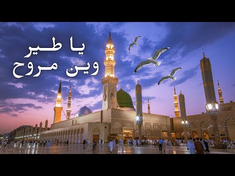 يا طير وين مروح 