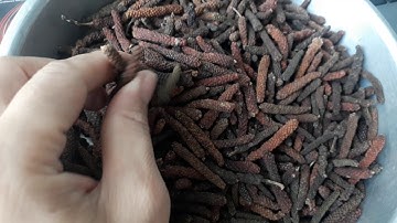 Bán Tiêu Lốt❤Tiêu Lốp Là Tiêu Gì Đâu Phải Ai Cũng Biết | ngocchaufood.com