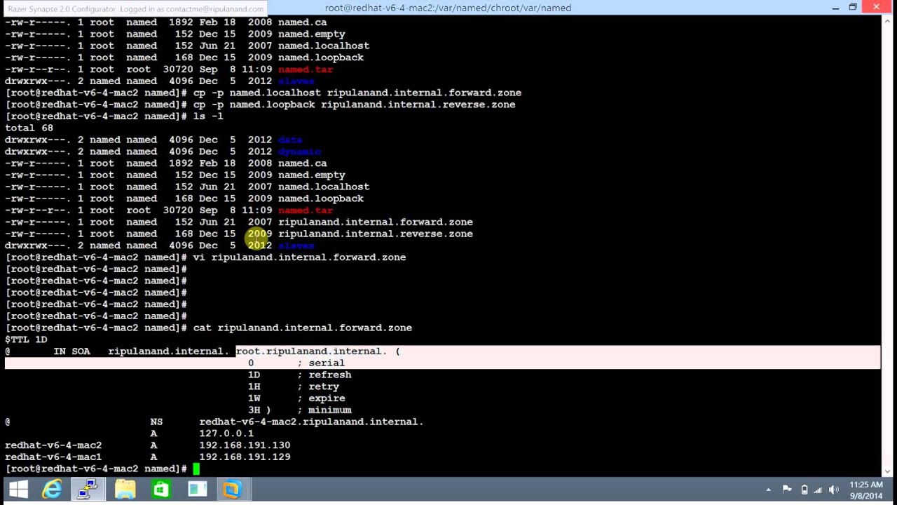 Dns report