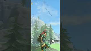 #zelda , #totk