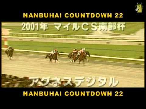 【OLD】 南部杯 Countdown22◆アグネスデジタル（H22制作）