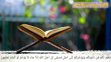 قَالَ رَبِّ إِنِّي دَعَوْتُ قَوْمِي لَيْلا وَنَهَارًا || تلاوة خاشعة من سورة نوح 🥺