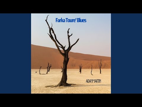 Aidan Martin - Farka Toure' blues
