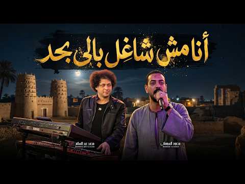 انا مش شاغل بالى بحد | محمود السوهاجى و عبسلام | جديد 2026