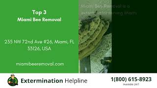 Top 3 Exterminators in Miami Beach