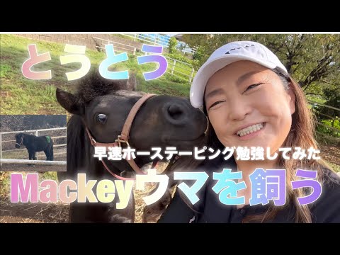 競馬200倍までをラクに当てる法 ピンポイント式でおもしろいほど獲れた 楽天ブックス: 競馬200倍までをラクに当てる法 - ピンポイント式