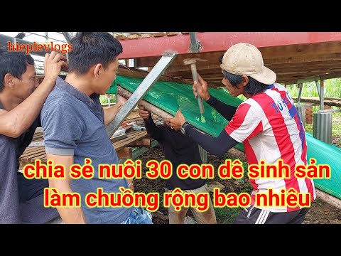 Video nuôi 30 con dê cái sinh sản làm chuồng rộng bao nhiêu... - youtube