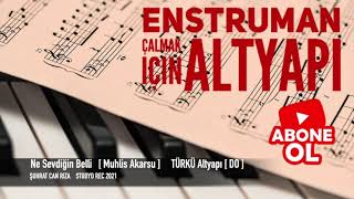 Ne Sevdiğin Belli Ne Sevmediğin Türkü Altyapı Saz İçin [Do] Chord