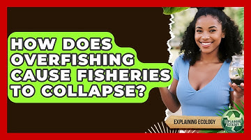 How Does Overfishing Cause Fisheries To Collapse? - Explaining Ecology