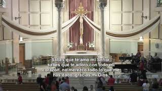 Domingo de Pentecostés - 24 de Mayo del 2026