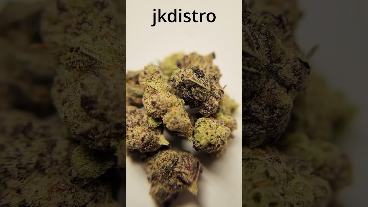 jkdistro - Glitter Bomb - THCa Flower $100 oz