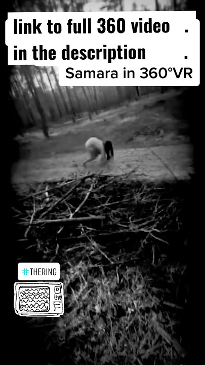Is the movie THE RING so scary in real life? || SAMARA 360VR