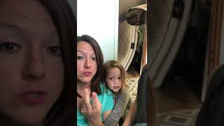 Introduction to the Shoultzy’s 3